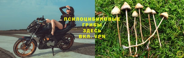 ГАЛЛЮЦИНОГЕННЫЕ ГРИБЫ Балахна