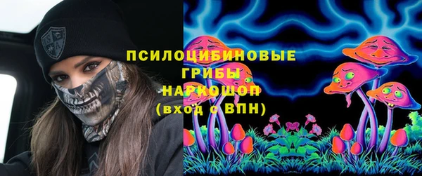 ГАЛЛЮЦИНОГЕННЫЕ ГРИБЫ Балахна