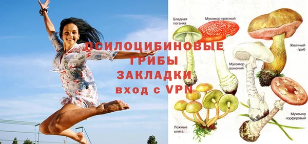 сатива Балабаново